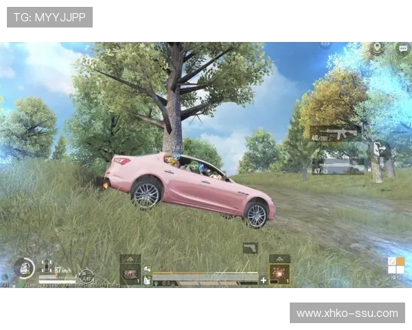 和平精英耐力排行榜揭晓WE战队荣登第二名引发热议